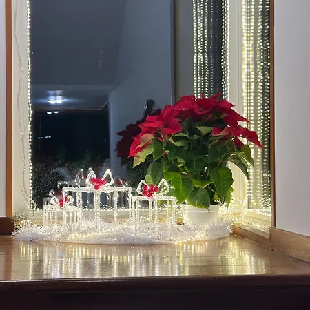 Le Foglie D'ulivo * Бари