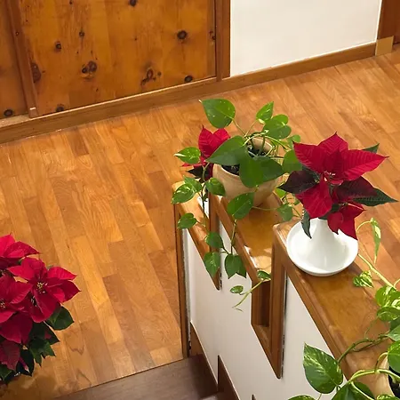 Le Foglie D'ulivo Bed & Breakfast